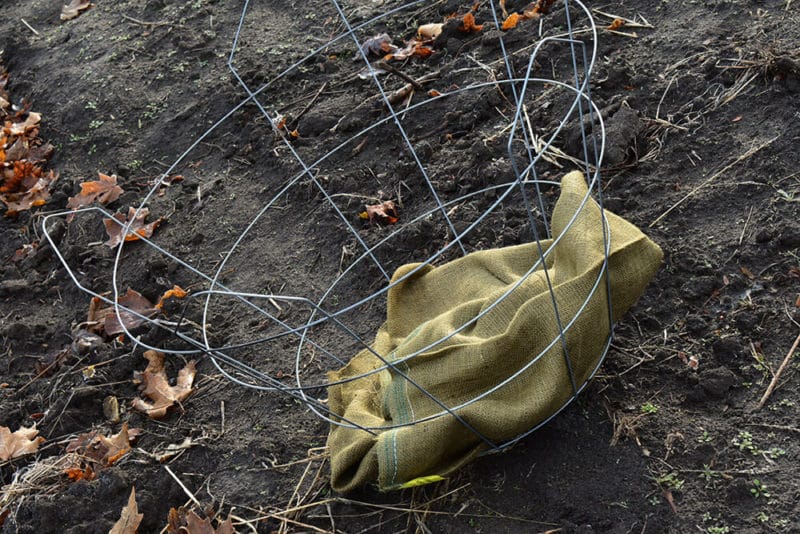 Tree Wire Basket Sizing